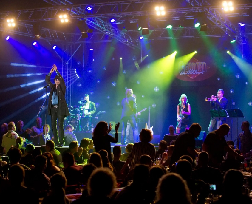 Weihnachtsfeier-Zauber Hamburg Dinner Shows