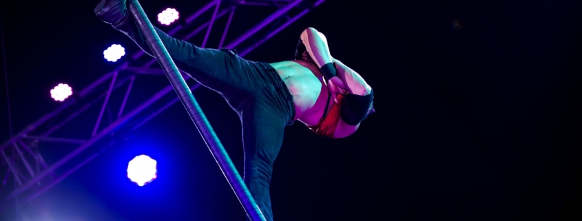 Weihnachtsfeier-Zauber Hamburg Dinner Show