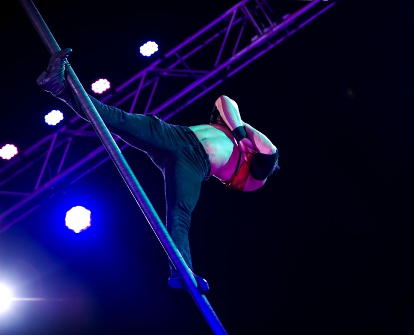 Weihnachtsfeier-Zauber Hamburg Dinner Show