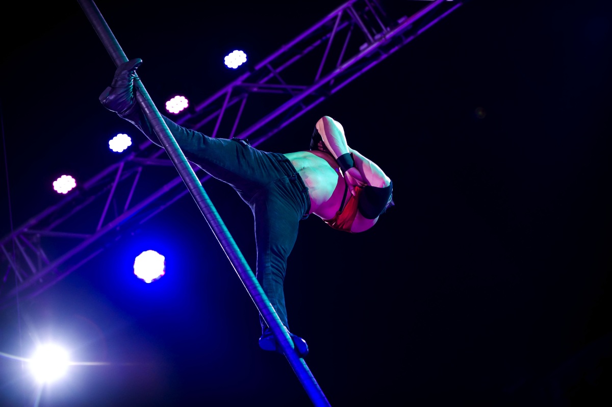 Weihnachtsfeier-Zauber Hamburg Dinner Show