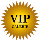 VIP Weihnachtsfeierzirkus