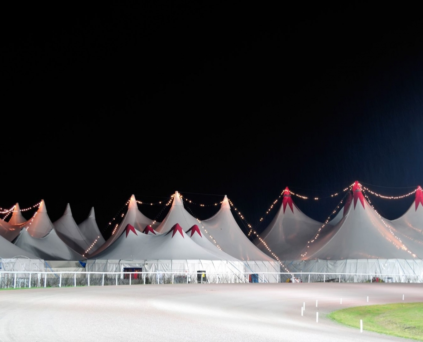 Weihnachtsfeierzauber Hamburg Deutschlands größte Dinnershow
