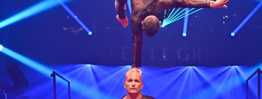 Der große Weihnachtsfeier Zirkus DIE ARTISTEN DINNER SHOW IN HAMBURG