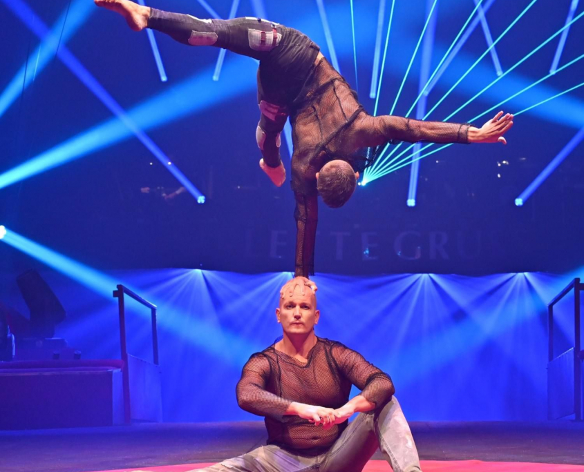 Der große Weihnachtsfeier Zirkus DIE ARTISTEN DINNER SHOW IN HAMBURG