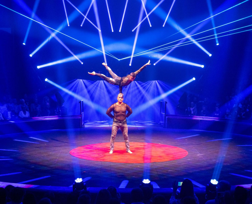 Der große Weihnachtsfeier Zirkus DIE ARTISTEN DINNER SHOW IN HAMBURG